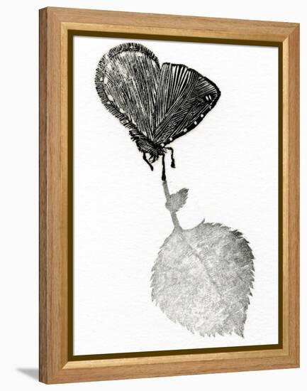 Untitled-Bella Larsson-Framed Premier Image Canvas