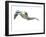 Untitled-Mark Adlington-Framed Giclee Print