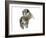 Untitled-Mark Adlington-Framed Giclee Print