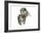 Untitled-Mark Adlington-Framed Giclee Print