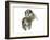 Untitled-Mark Adlington-Framed Giclee Print