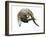 Untitled-Mark Adlington-Framed Giclee Print