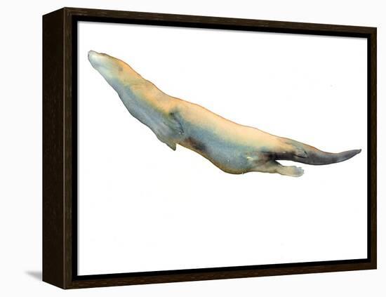 Untitled-Mark Adlington-Framed Premier Image Canvas