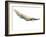 Untitled-Mark Adlington-Framed Giclee Print