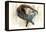 Untitled-Mark Adlington-Framed Premier Image Canvas