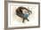 Untitled-Mark Adlington-Framed Giclee Print