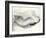 Untitled-Corrie LaVelle-Framed Art Print