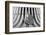 Untitled-Shay Lev Ari-Framed Photographic Print