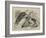 Unusual Playmates at the Zoo-null-Framed Giclee Print