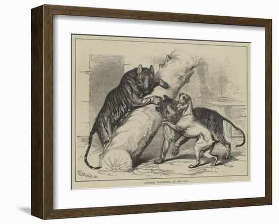 Unusual Playmates at the Zoo-null-Framed Giclee Print