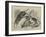 Unusual Playmates at the Zoo-null-Framed Giclee Print