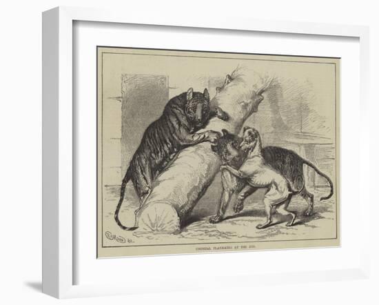 Unusual Playmates at the Zoo-null-Framed Giclee Print