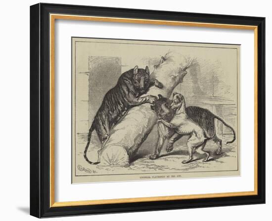 Unusual Playmates at the Zoo-null-Framed Giclee Print