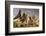 Unusual Rock Formations in the Rose Valley, Cappadocia, Anatolia, Turkey, Asia Minor, Eurasia-David Clapp-Framed Photographic Print