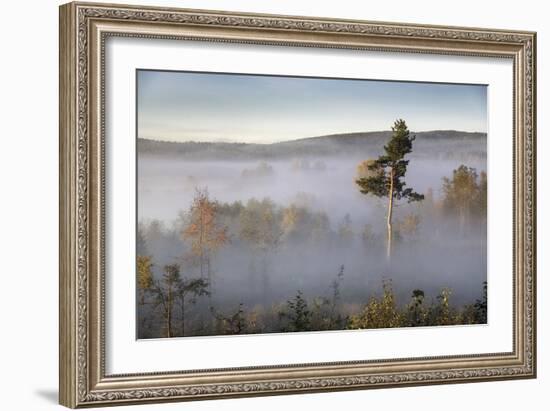 Up Above-Andreas Stridsberg-Framed Giclee Print