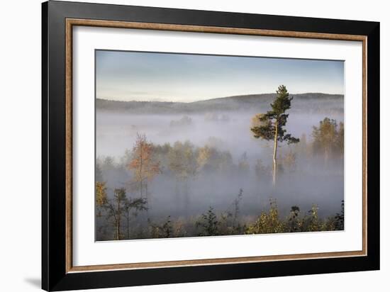 Up Above-Andreas Stridsberg-Framed Giclee Print