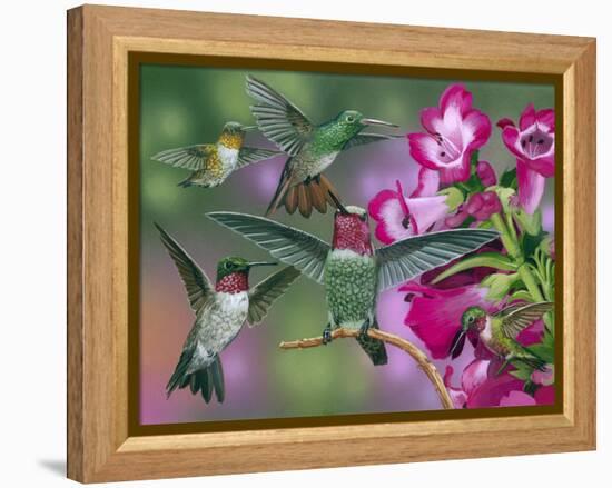 Up and Away-William Vanderdasson-Framed Premier Image Canvas