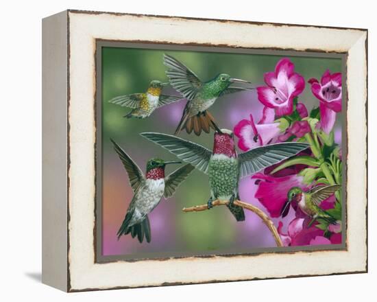 Up and Away-William Vanderdasson-Framed Premier Image Canvas