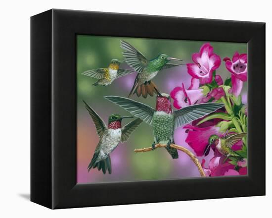 Up and Away-William Vanderdasson-Framed Premier Image Canvas