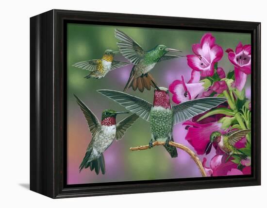 Up and Away-William Vanderdasson-Framed Premier Image Canvas