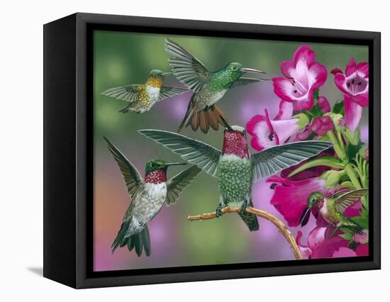 Up and Away-William Vanderdasson-Framed Premier Image Canvas