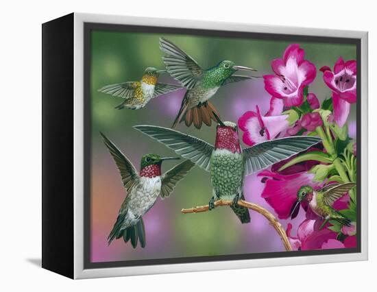 Up and Away-William Vanderdasson-Framed Premier Image Canvas