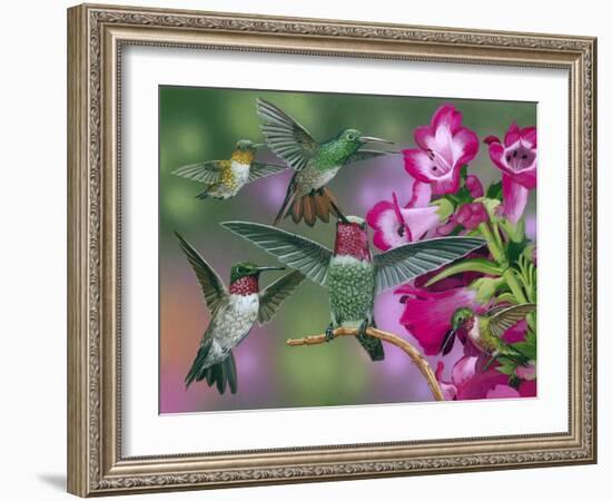 Up and Away-William Vanderdasson-Framed Giclee Print