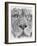 Up Close Lion-Barbara Keith-Framed Giclee Print