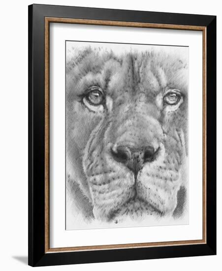 Up Close Lion-Barbara Keith-Framed Giclee Print