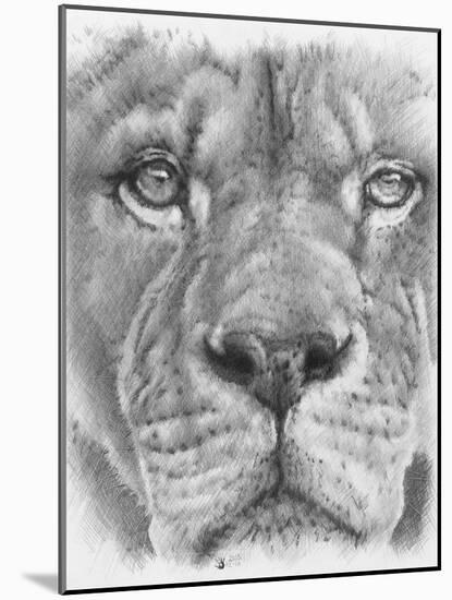 Up Close Lion-Barbara Keith-Mounted Giclee Print