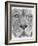 Up Close Lion-Barbara Keith-Framed Giclee Print