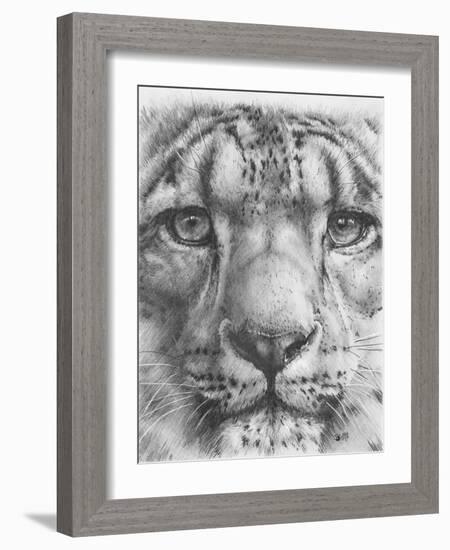 Up Close Snow Leopard-Barbara Keith-Framed Giclee Print