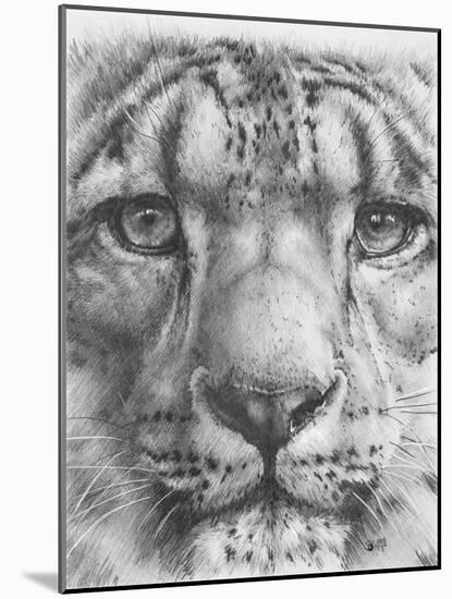 Up Close Snow Leopard-Barbara Keith-Mounted Giclee Print