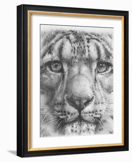 Up Close Snow Leopard-Barbara Keith-Framed Giclee Print