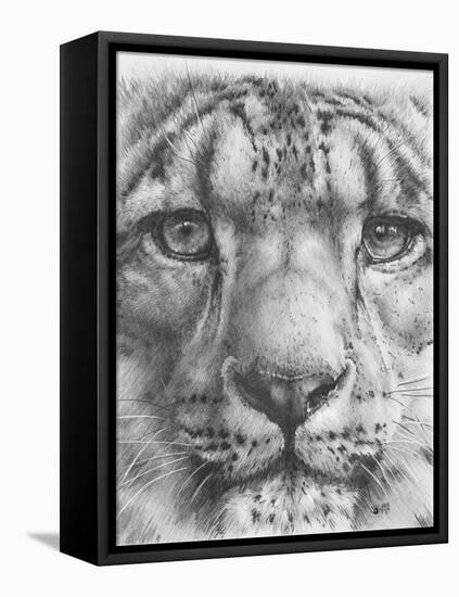 Up Close Snow Leopard-Barbara Keith-Framed Premier Image Canvas