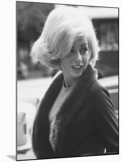 Up Coming Actress Sybil Saulnier Bearing Strong Resemblance to Marilyn Monroe-Paul Schutzer-Mounted Premium Photographic Print