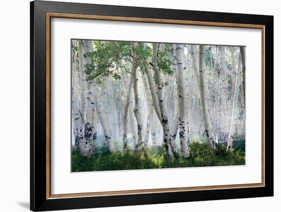 Up In The Clouds-Mike Jones-Framed Giclee Print