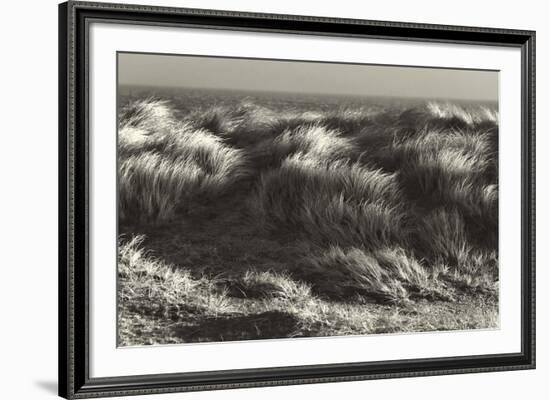 Up in the Long Grass-Bernard Webb-Framed Giclee Print