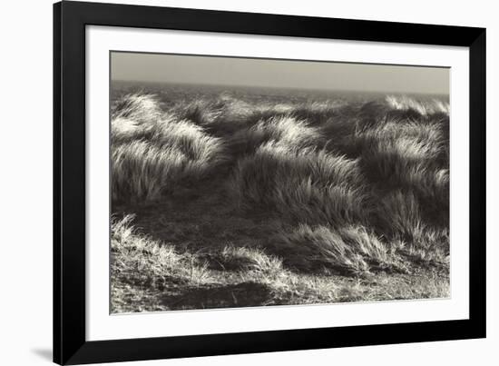 Up in the Long Grass-Bernard Webb-Framed Giclee Print