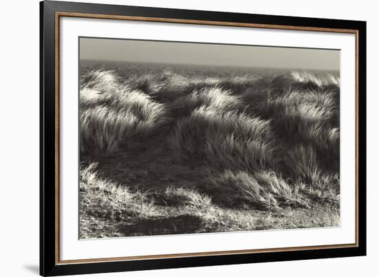 Up in the Long Grass-Bernard Webb-Framed Giclee Print