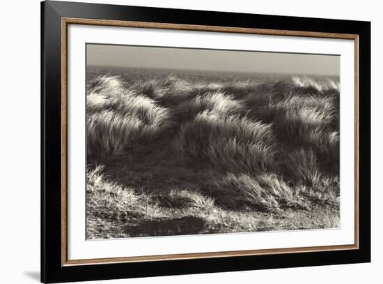 Up in the Long Grass-Bernard Webb-Framed Giclee Print