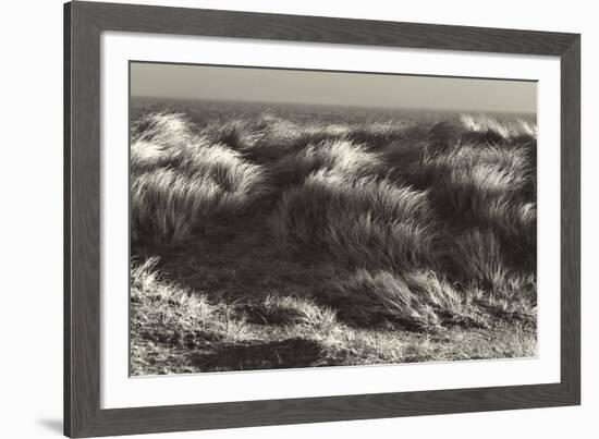 Up in the Long Grass-Bernard Webb-Framed Giclee Print