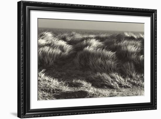 Up in the Long Grass-Bernard Webb-Framed Giclee Print