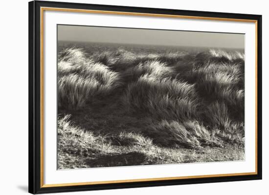 Up in the Long Grass-Bernard Webb-Framed Giclee Print