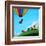 Up, Up and Away-Cindy Thornton-Framed Art Print