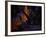 Upa Upa (The Fire Dance) 1891-Paul Gauguin-Framed Giclee Print