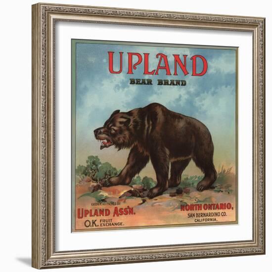 Upland Bear Brand - North Ontario, California - Citrus Crate Label-Lantern Press-Framed Art Print