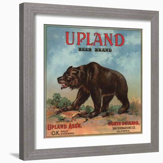 Upland Bear Brand - North Ontario, California - Citrus Crate Label-Lantern Press-Framed Art Print
