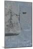 Uplift Seafoam II-Tyson Estes-Mounted Giclee Print