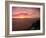 Uplifted-Doug Chinnery-Framed Photographic Print